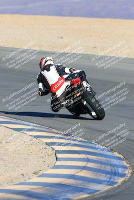 media/Jan-08-2022-SoCal Trackdays (Sat) [[1ec2777125]]/Turn 10 Backside (930am)/